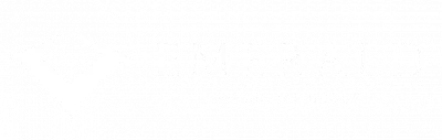 Emerald Financial Group logo