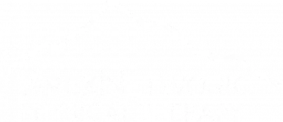 ApexNetwork Physical Therapy logo