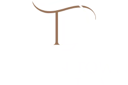 Lorton Town Dental logo