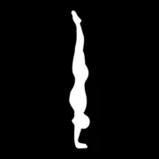 Primal Moves Venice logo