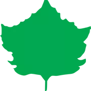 Sycamore Services logo