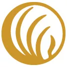 NAMI Indiana logo