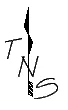True North Surveying logo