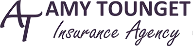 Amy Tounget Insurance Agency - Amy Tounget logo