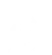 Thomas F DiLullo ESQ CPA, MBA, JD, and LLM logo