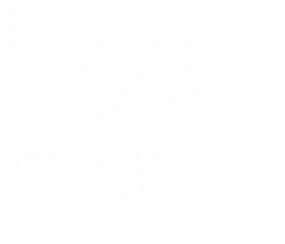 Stella Maris Academy logo