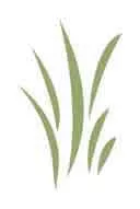 Marla Cass logo