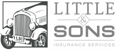 Little & Sons Insurance Services logo