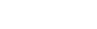 Theo Inc. logo