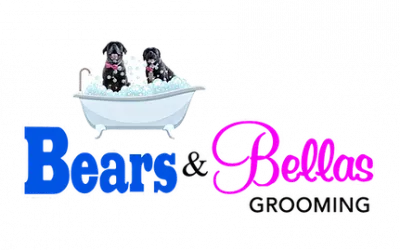 Bears and Bellas Grooming logo