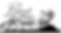Jeremy L Belcourt Insurance Agency logo