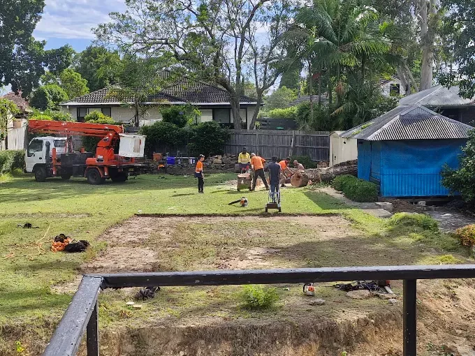 PayLess Tree Lopping Service