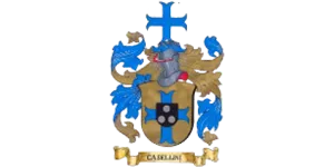 Ilona Casellini logo