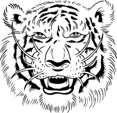 Fat Tiger Acupuncture logo
