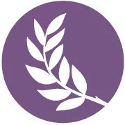 Olive Branch Church logo