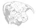 Quintero's Meat Company logo