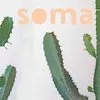 Soma Optical logo