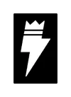 Reign Drink Lab logo
