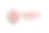 Flock logo