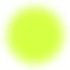 Robin Skin Studio logo