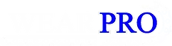 WearPro Inc logo