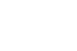 Chapman Honda logo