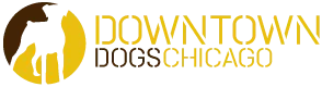 Downtown Dogs Chicago logo