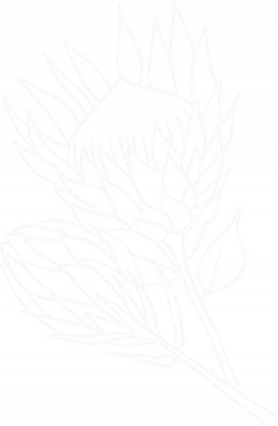 Poppy Lavender Florals logo