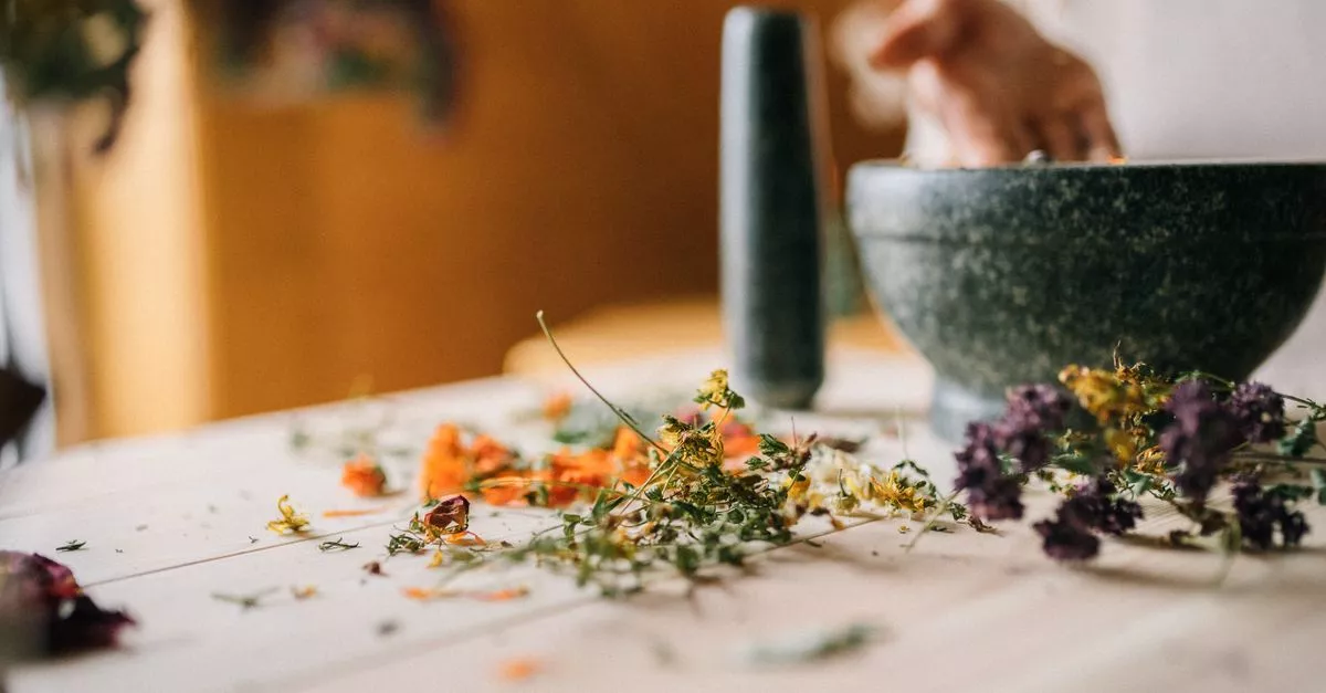 Verde Holistic Wellness Studio