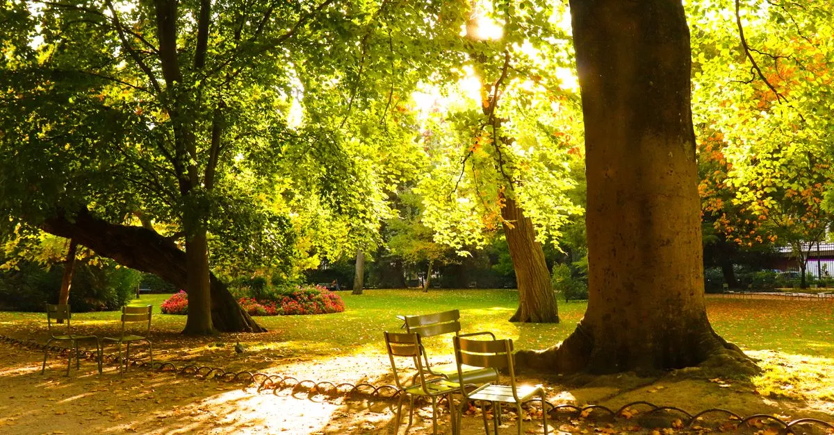 Mayfair Park Picnic Ground