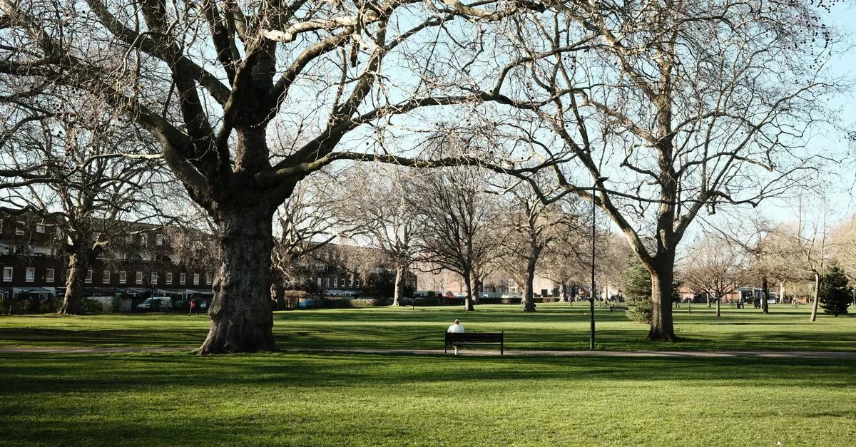 Oz Park