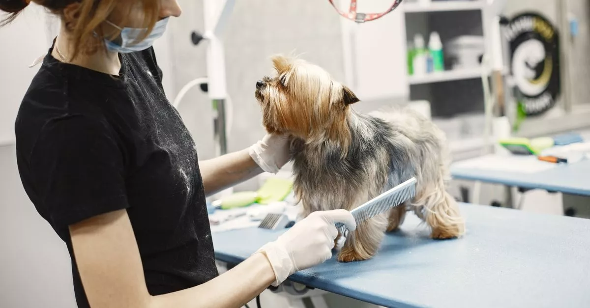Boulevard Veterinary