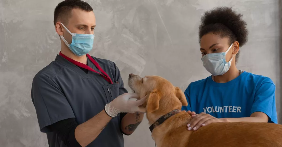 Fullerton Animal Clinic PC