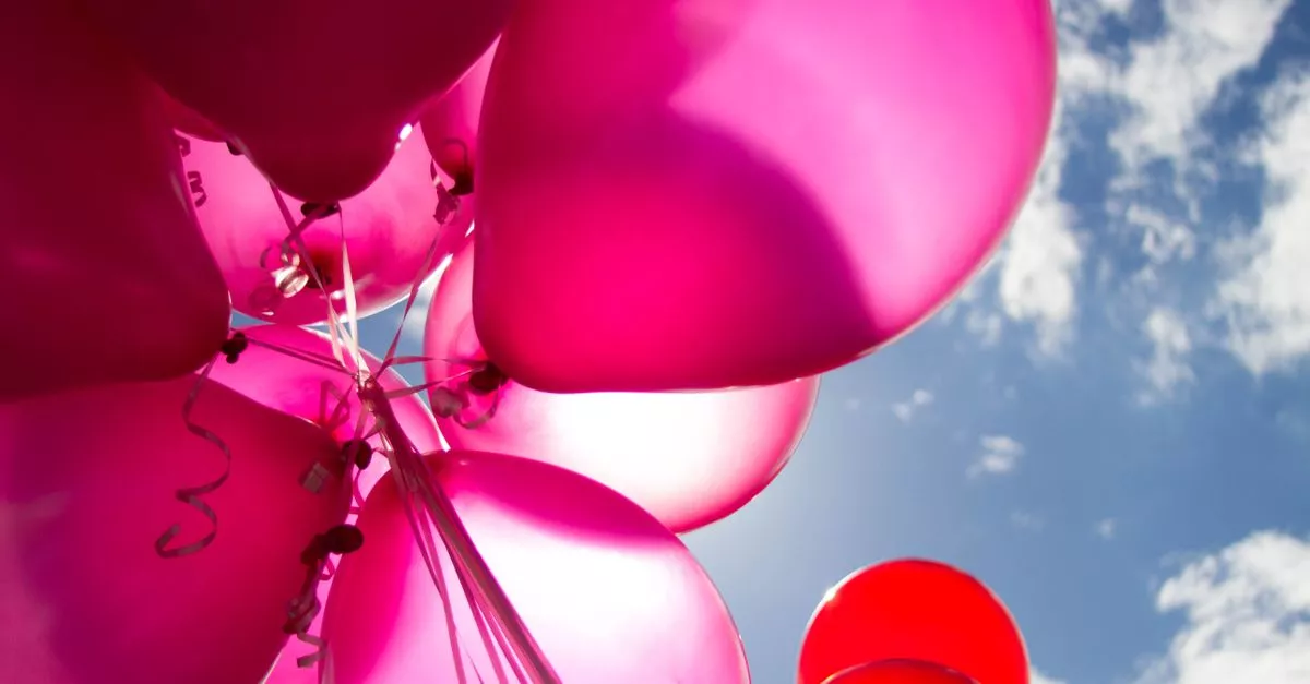 Tots Land - Private Playground & Party Room - Kids Birthday Parties