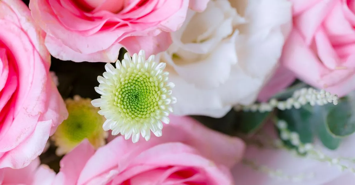 Bonnie Flowers Inc.