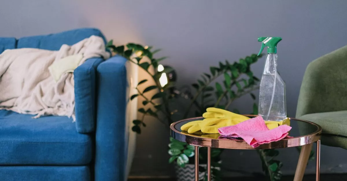Move Out Cleaning Services