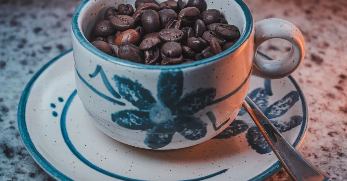 Cocoa + Co