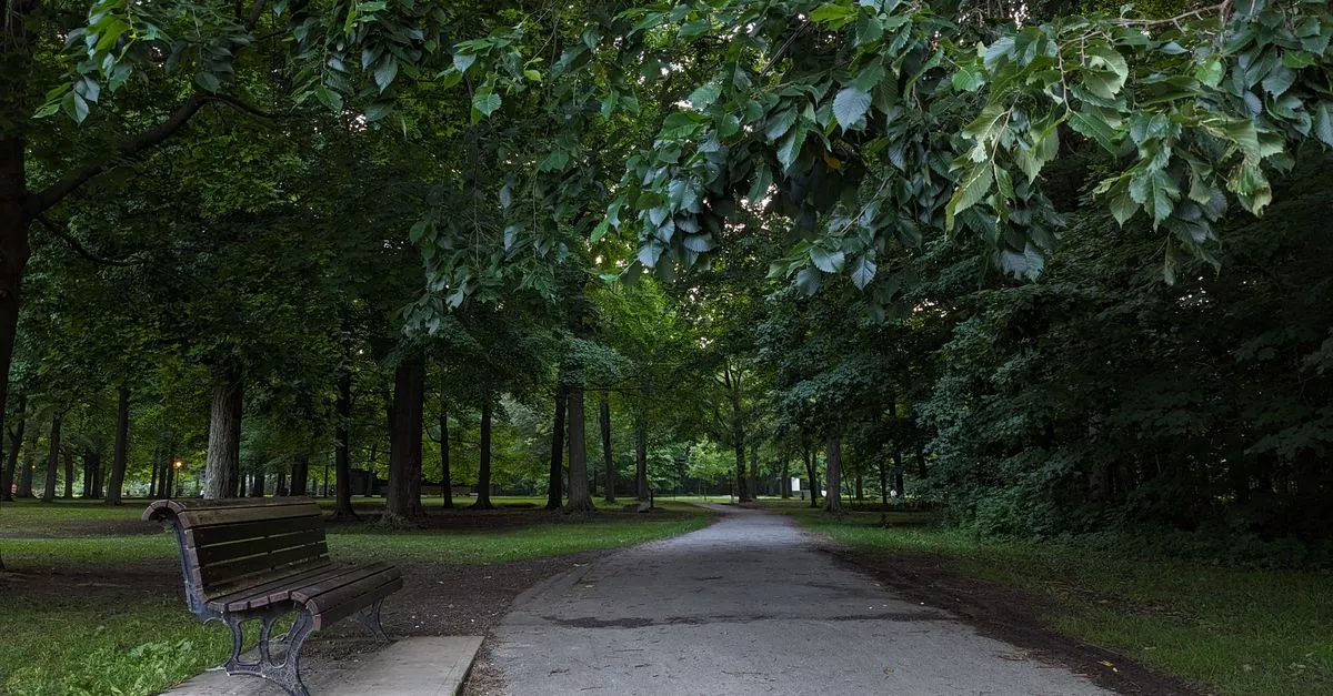 Chicago Park District