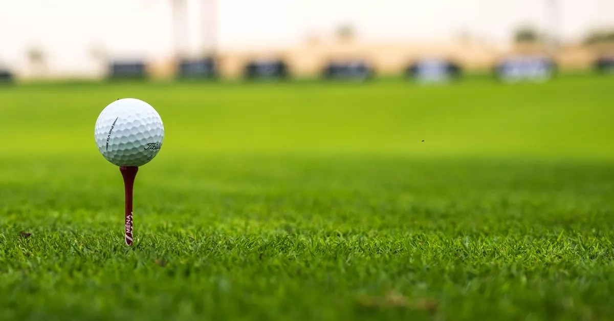 Diversey Driving Range & Mini Golf