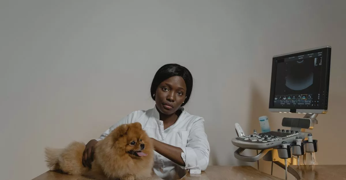Integrative Pet Care