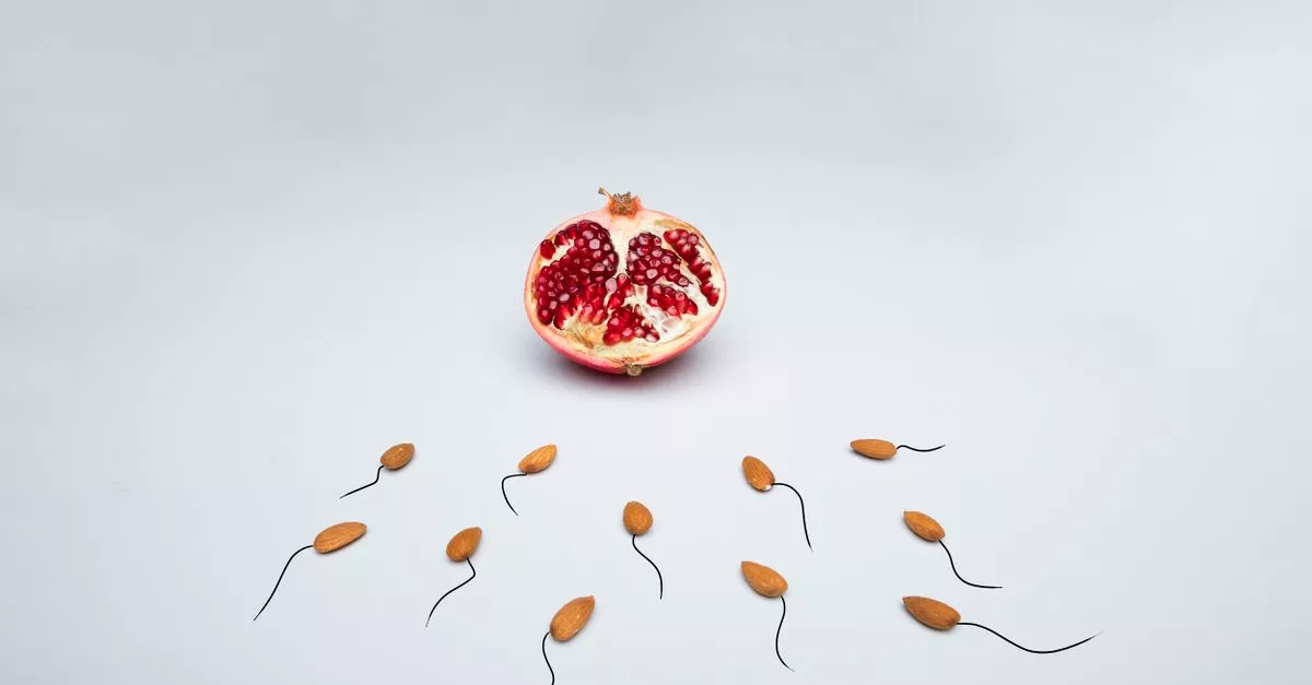 LA Baby Fertility Agency