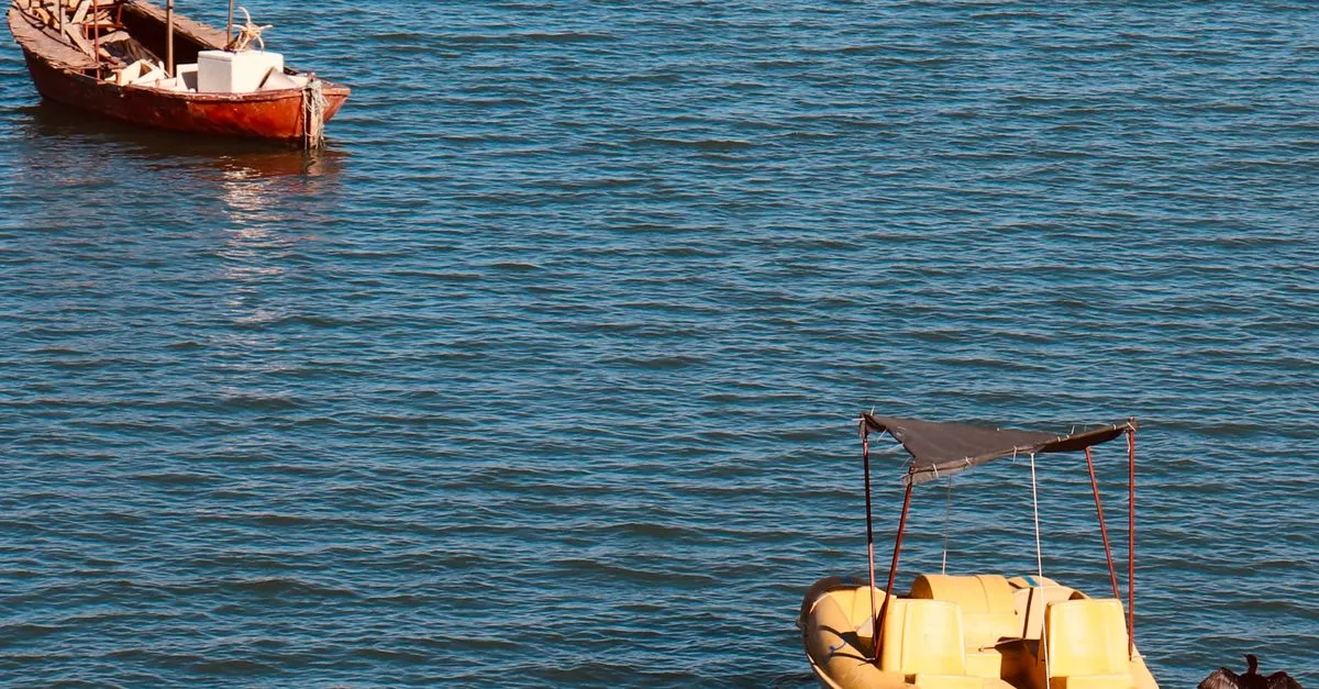BBQ Pontoon