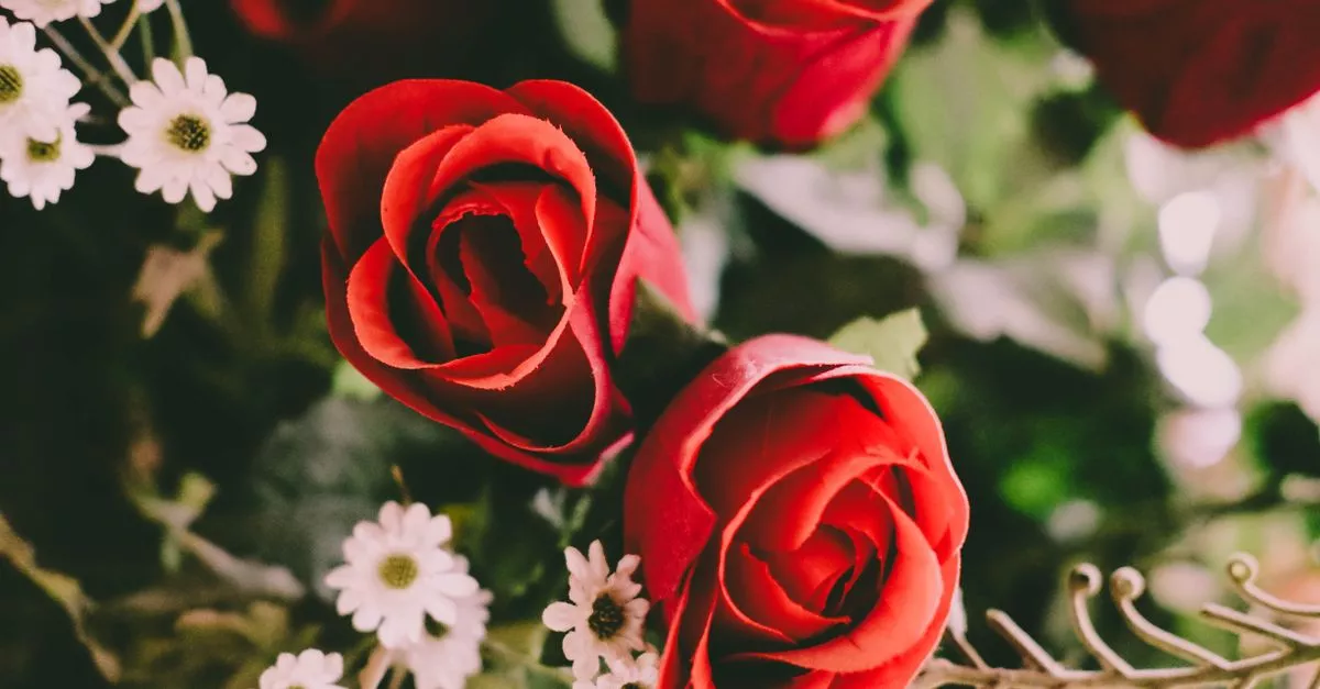 Stems