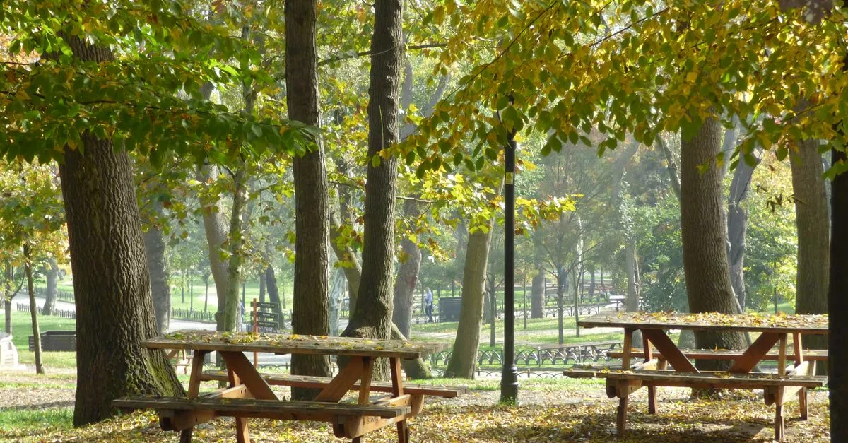 West Lawn Park