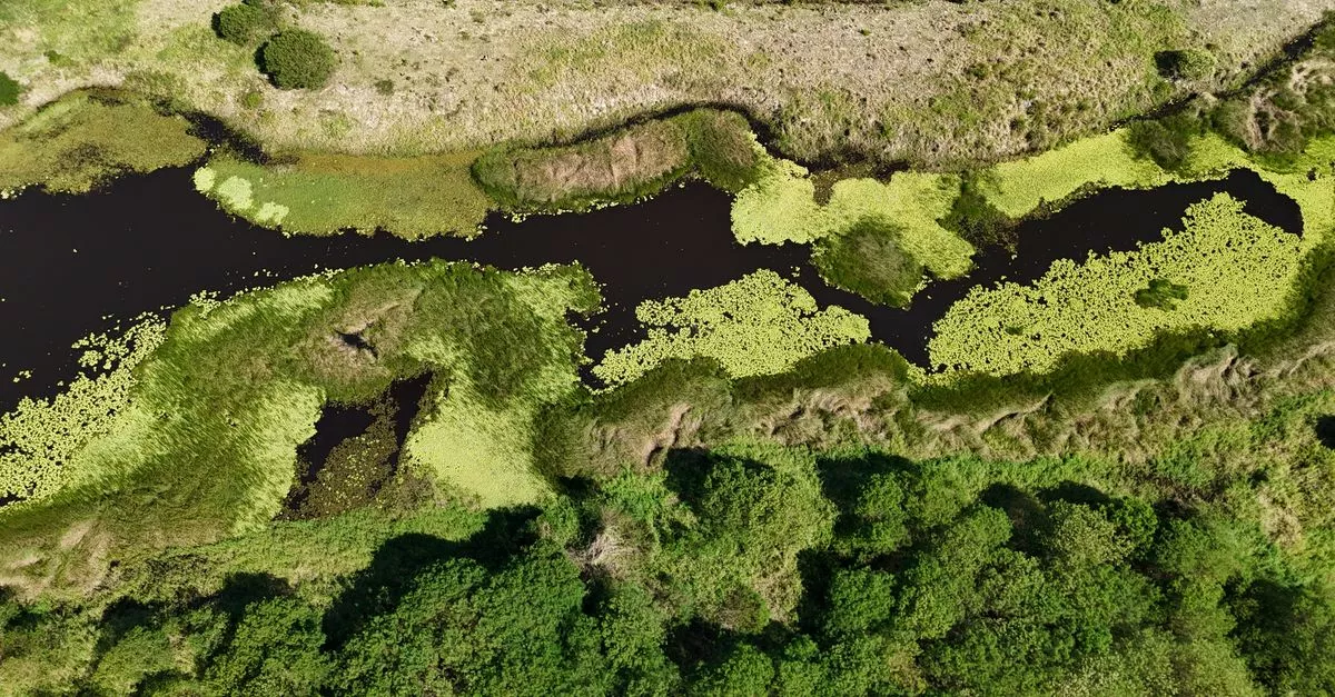Forest Preserve Foundation