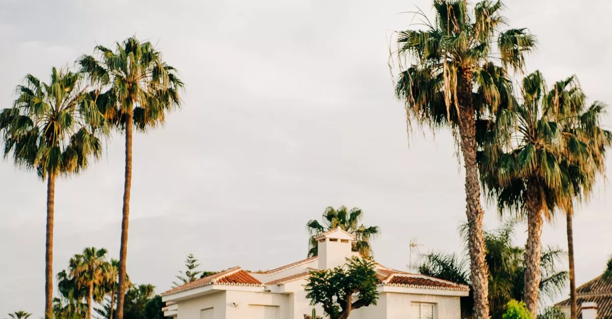 The Avondale Guesthouse