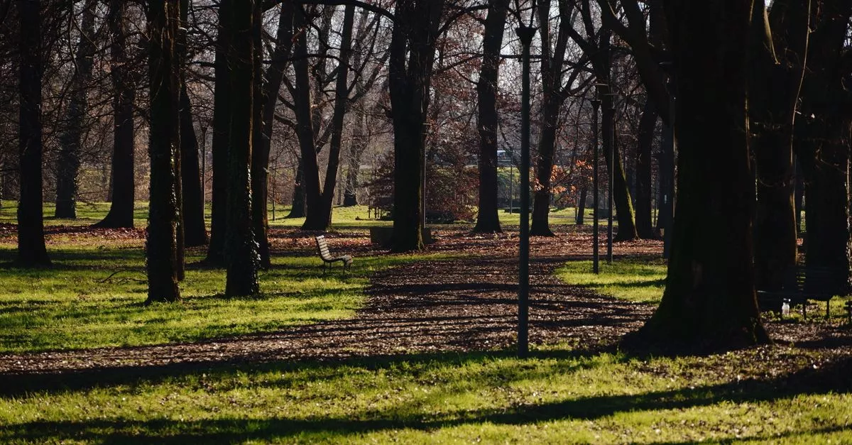 Trumbull Park Playground