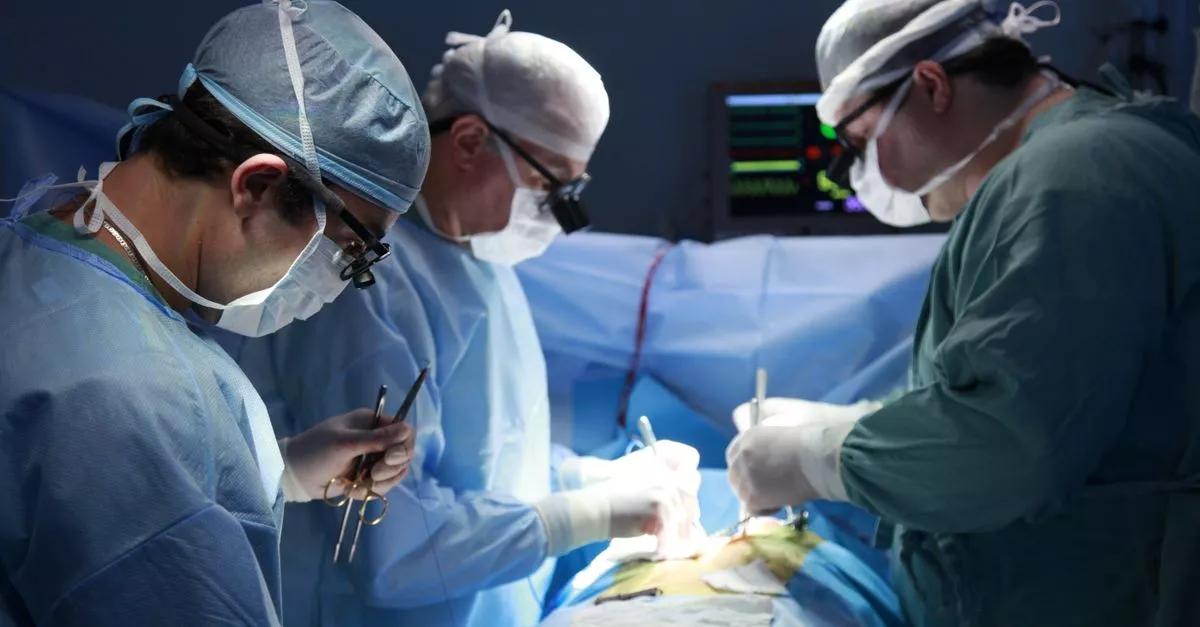 Shifrin Plastic Surgery