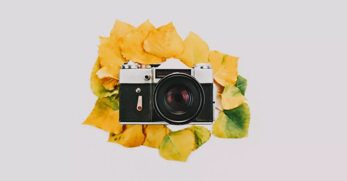 Maypole Studios Photography