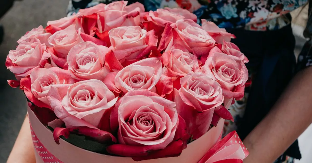 A Pretty Flower